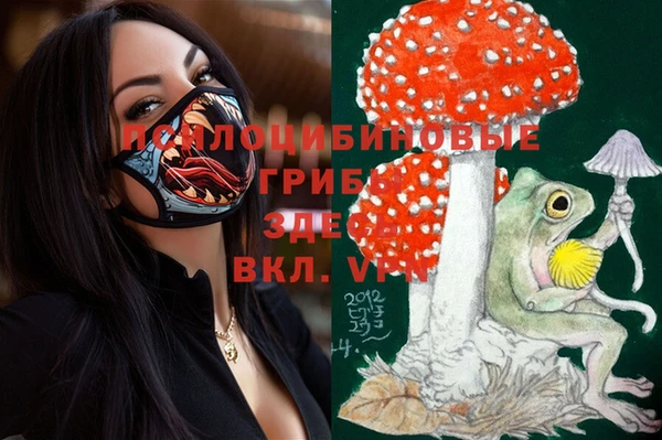 твердый Алексеевка