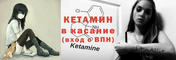 индика Киреевск